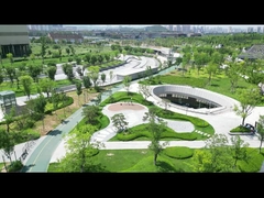 Sistema anti-UAV de Wukong